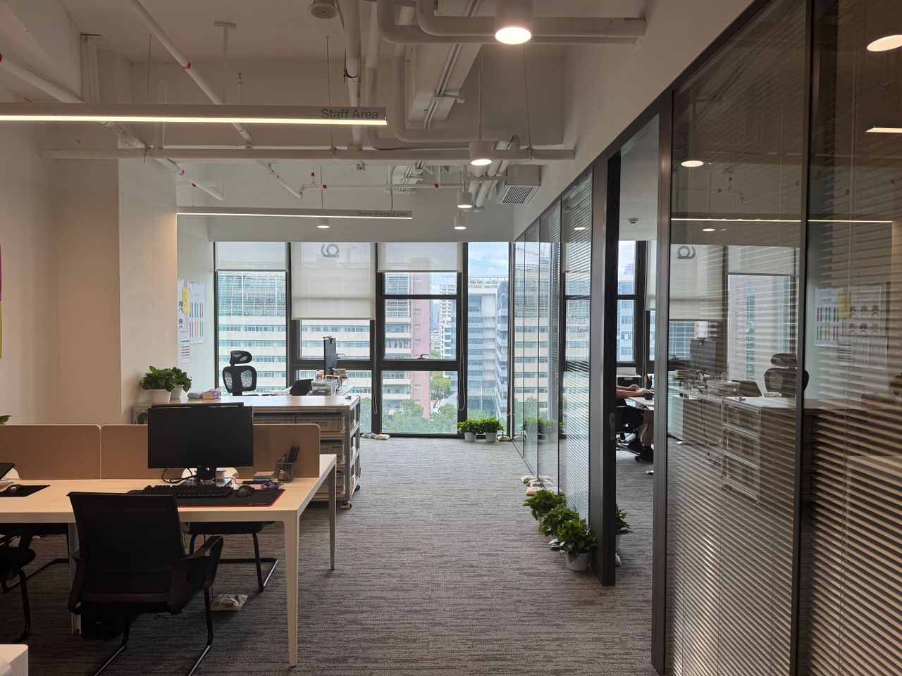 Featured image for “Professional Office”